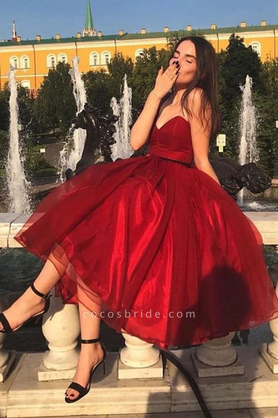 Sleek V-neck Organza A-line Prom Dress