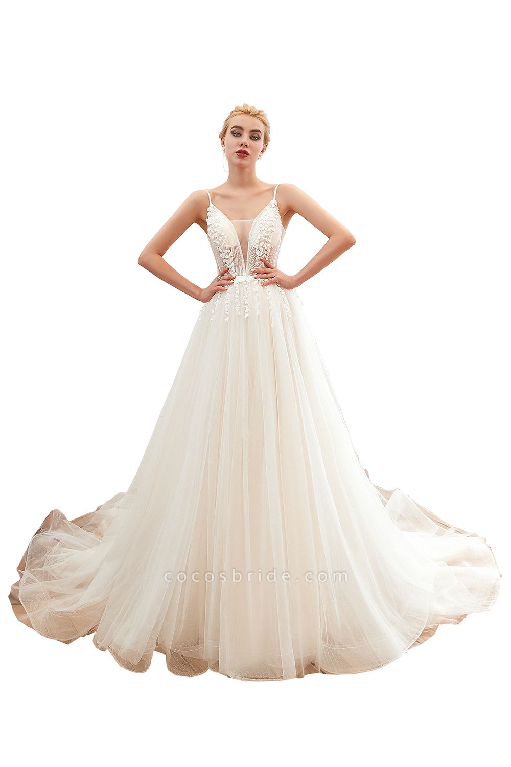 Awesome Spaghetti Strap Tulle A-line Wedding Dress