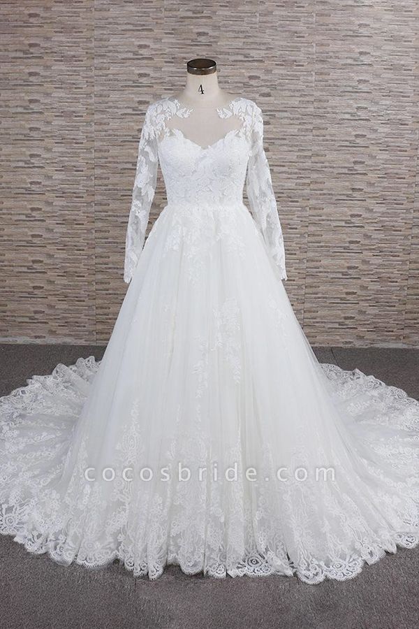 Awesome Applqiues Tulle Long Sleeve Wedding Dress