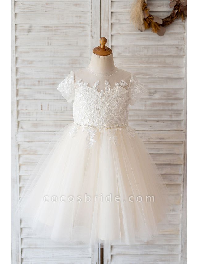 Ball Gown Knee Length Wedding / Birthday Flower Girl Dresses - Lace / Tulle Short Sleeve Jewel Neck With Belt / Buttons / Beading