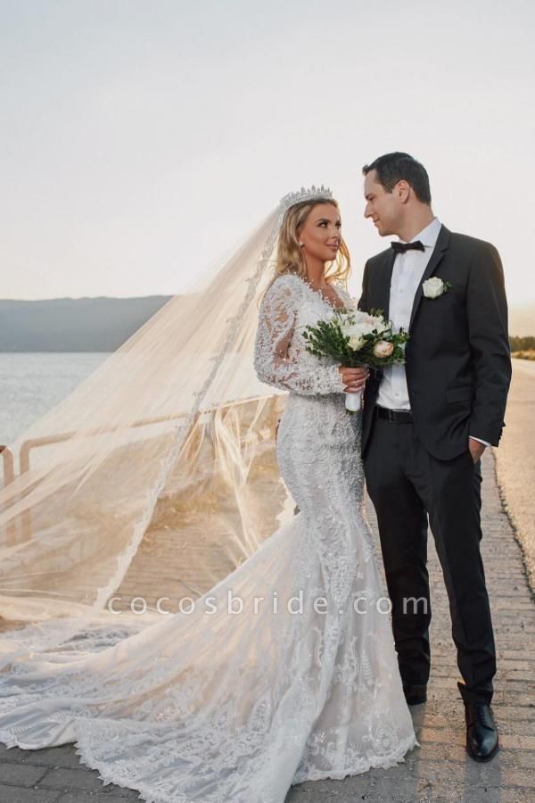 Gorgeous Long Mermaid V-neck Lace Wedding Dresses with Sleeves