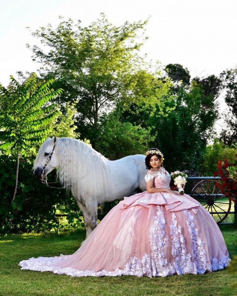 Elegant Off-the-shoulder Tulle Ball Gown Quinceanera Dress_1