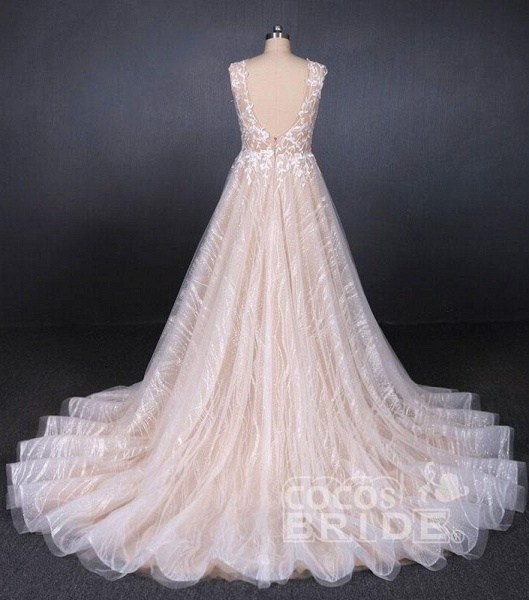 Puffy Sleeveless Lace Elegant A Line Backless Wedding Dress_2