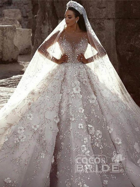Luxury Long Sleeve V Neck Royal Ball Gown Wedding Dresses_3
