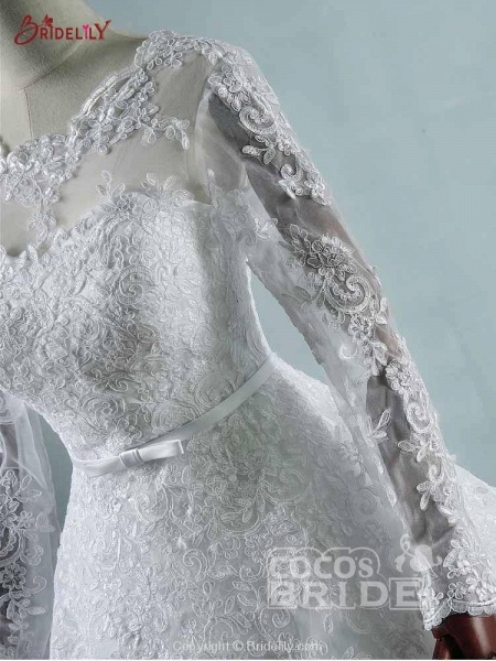 Elegant Long Sleeves Corset lace up Wedding Dresses_5
