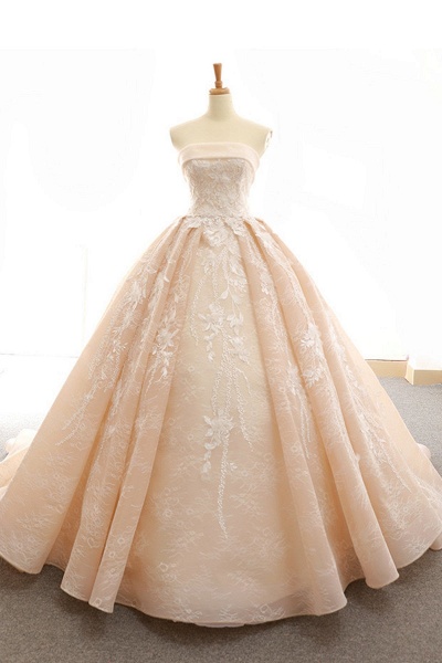 Nude Organza Strapless Sweep Train Lace Up Wedding Dress_1