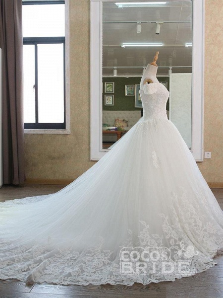 Elegant V-Neck Ball Gown Wedding Dresses Appliques Beaded Court Train_3