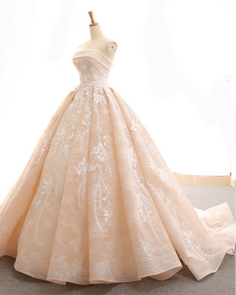 Nude Organza Strapless Sweep Train Lace Up Wedding Dress_2