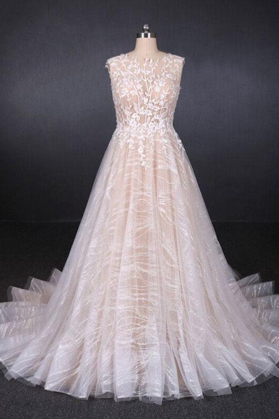 Puffy Sleeveless Lace Elegant A Line Backless Wedding Dress_1