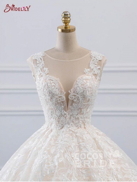 Glamorous Lace Tulle Ball Gown Wedding Dresses_4