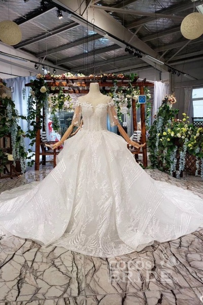 Duchesse-Linie, halbe Ärmel, Spitze mit Pailletten, durchsichtiger Ausschnitt, langes Hochzeitskleid_3