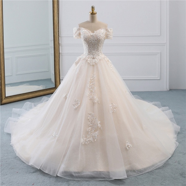 Long Princess Off-the-Shoulder Tulle Wedding Dress with Appliques Lace_7