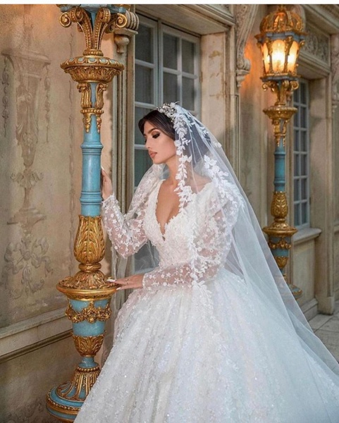 Gorgeous A-Line Deep V-neck Appliques Lace Long Sleeve Train Wedding Dress_4