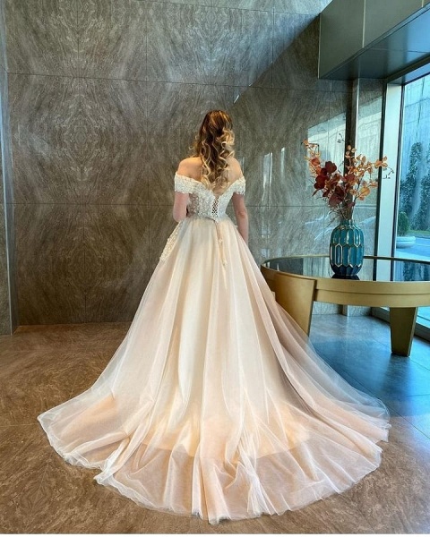 Simple A-Line Floor-length Sweetheart Off-the-Shoulder Backless Tulle Appliques Lace Wedding Dress_2