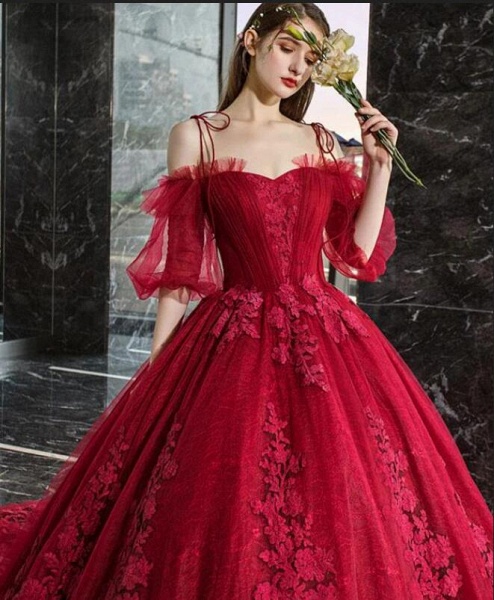 Gorgeous Train A-line Off-the-shoulder Spaghetti Straps Long Sleeve Appliques Lace Prom Dress_4