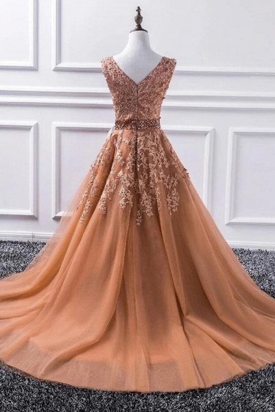 Elegant Long A-line V-neck Tulle Lace Floor-length Prom Dress_2