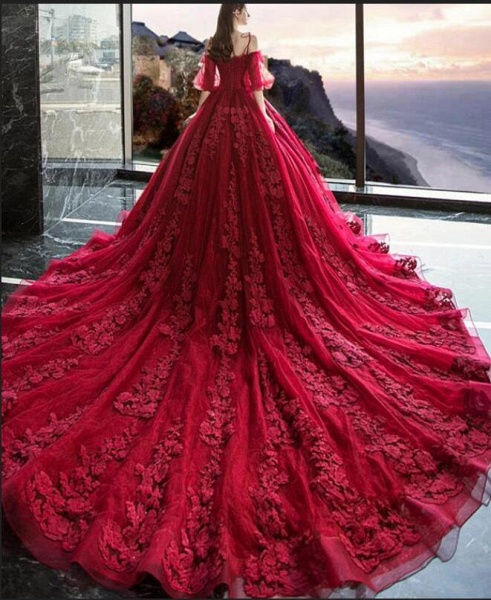 Gorgeous Train A-line Off-the-shoulder Spaghetti Straps Long Sleeve Appliques Lace Prom Dress_3