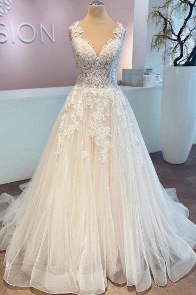 Elegant Long A-line V-neck Tulle Lace Wedding Dress_1