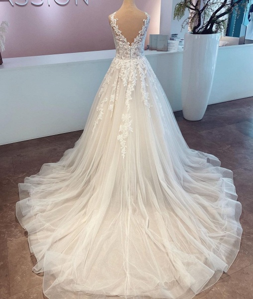 Elegant Long A-line V-neck Tulle Lace Wedding Dress_2