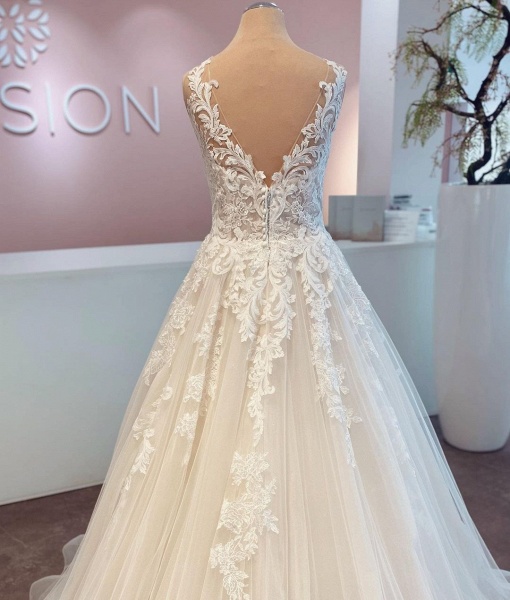 Elegant Long A-line V-neck Tulle Lace Wedding Dress_3