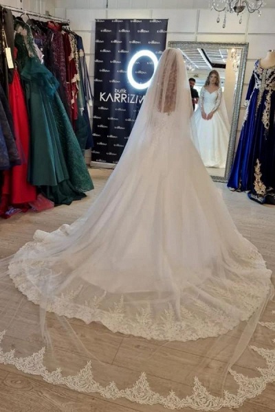 Gorgeous White A-line V-neck Lace Wedding Dress with Long Sleeves_5