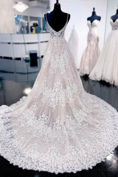 Elegant Long A-line V-neck Lace Backless Wedding Dresses_2