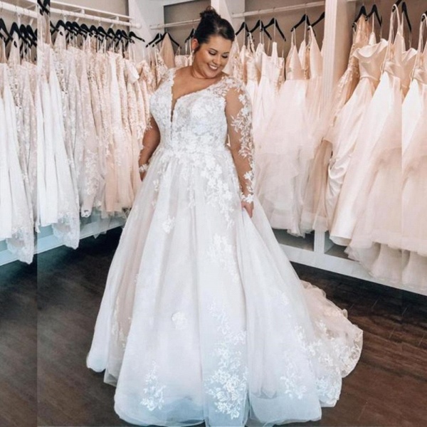 Elegant Plus Size Long A-line V-neck Tulle Lace Wedding Dresses with Sleeves_1