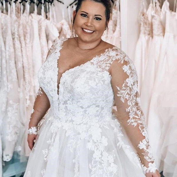 Elegant Plus Size Long A-line V-neck Tulle Lace Wedding Dresses with Sleeves_2
