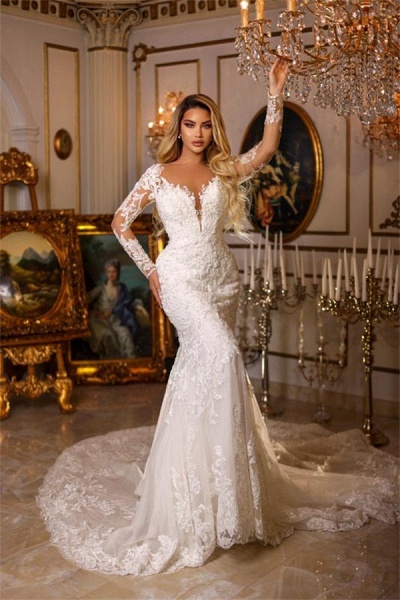Gorgeous Mermaid Sweetheart Tulle Lace Long Sleeves Wedding Dress with Train