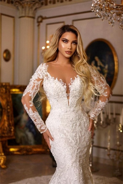 Gorgeous Mermaid Sweetheart Tulle Lace Long Sleeves Wedding Dress with Train_2