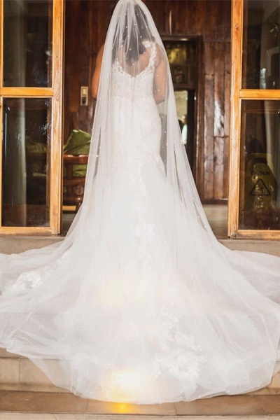 Elegantes A-Linien-Hochzeitskleid aus Tüll mit herzförmigen Trägern und Kapellenschleppe_3