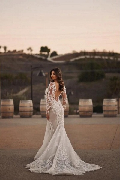 Gorgeous Long Mermaid Sweetheart Tulle Lace Wedding Dresses with Sleeves_2
