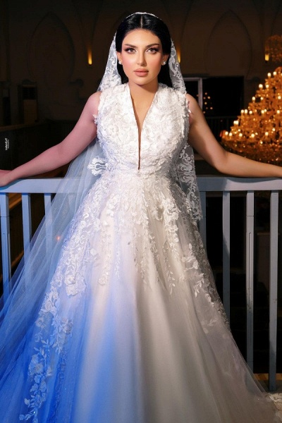 Gorgeous Long A-line V-neck Tulle Sleeveless Lace Wedding Dresses_1