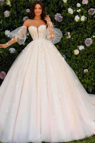 Ball Gown Tulle Lace Up Back Long Appliques Lace Wedding Dress with Sleeve