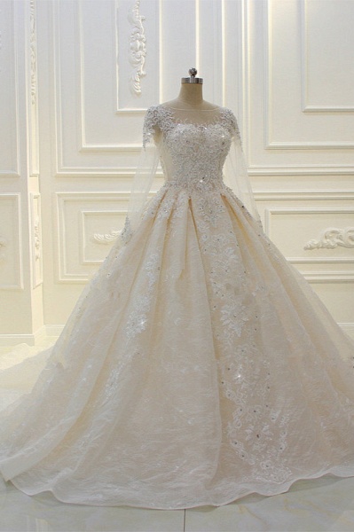 Long Sleeve Beading Bateau Appliques Lace Ball Gown Wedding Dress_3