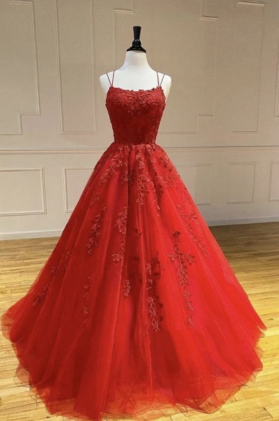 Beautiful Long A-line Tulle Lace Backless Prom Dress_4