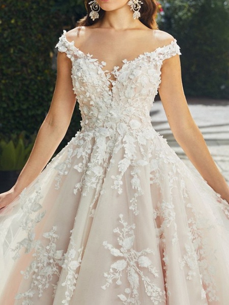 A-Line Wedding Dresses V Neck Chapel Train Lace Tulle Sleeveless Sexy Wedding Dress in Color See-Through_3