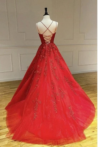 Beautiful Long A-line Tulle Lace Backless Prom Dress_3