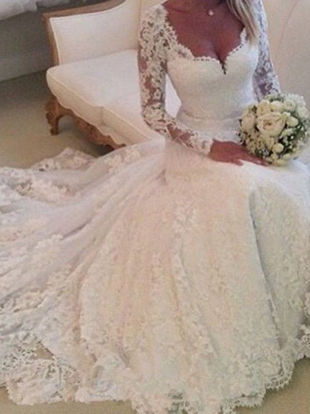 A-Line Wedding Dresses V Neck Chapel Train Lace Tulle Long Sleeve Country_1