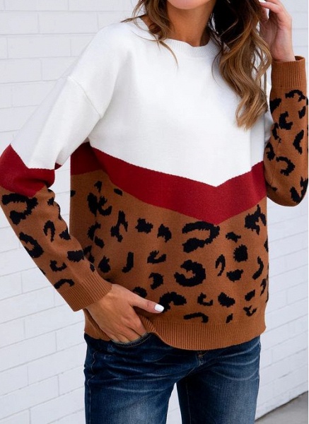 Round Neckline Leopard Casual Loose Regular Shift Sweaters_4